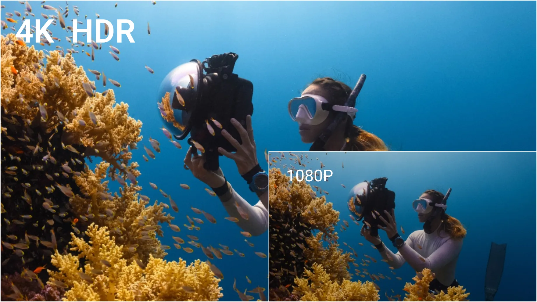 4K Ultra HD Display with Multi-Monitor Support